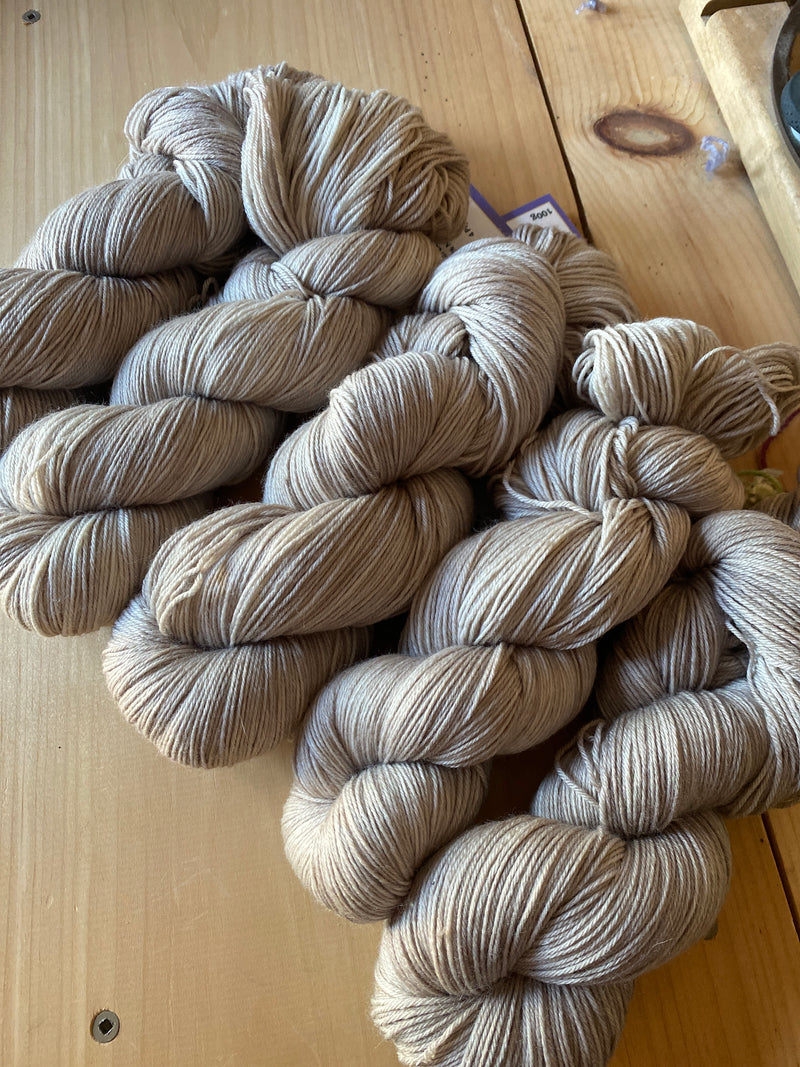 Sock - Sand Dollar